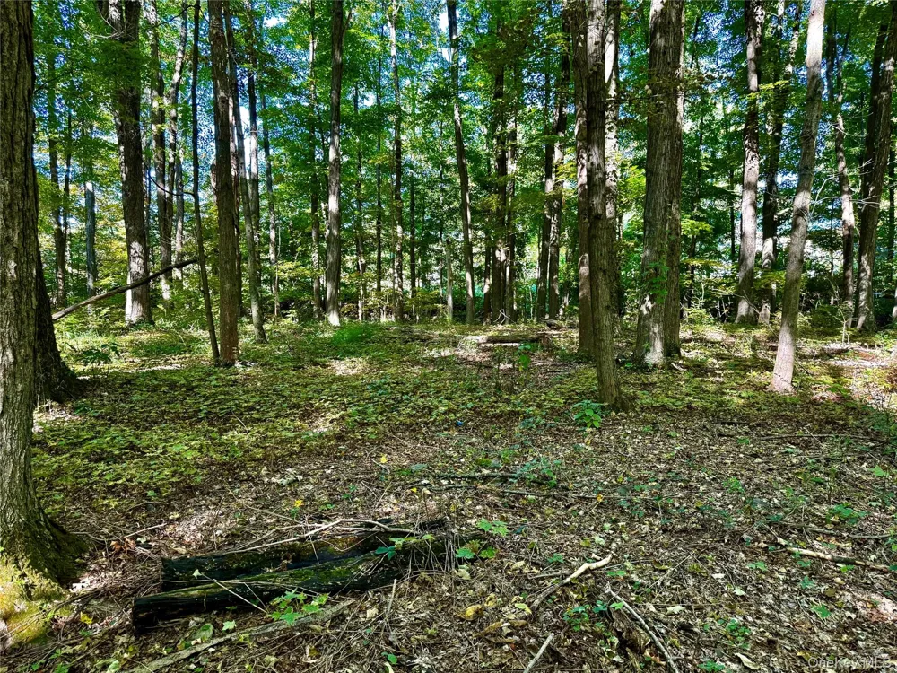 Freedom Road Lagrangeville, NY 12569