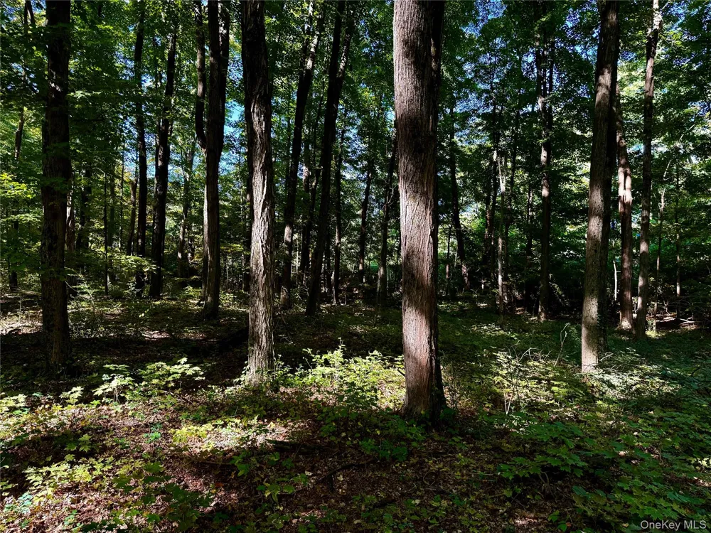 Freedom Road Lagrangeville, NY 12569