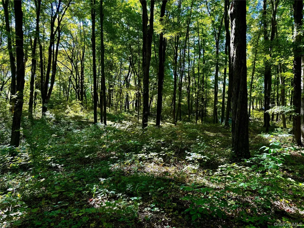 Freedom Road Lagrangeville, NY 12569
