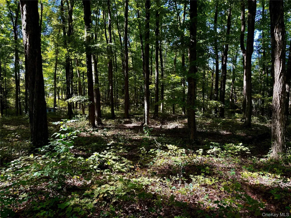 Freedom Road Lagrangeville, NY 12569