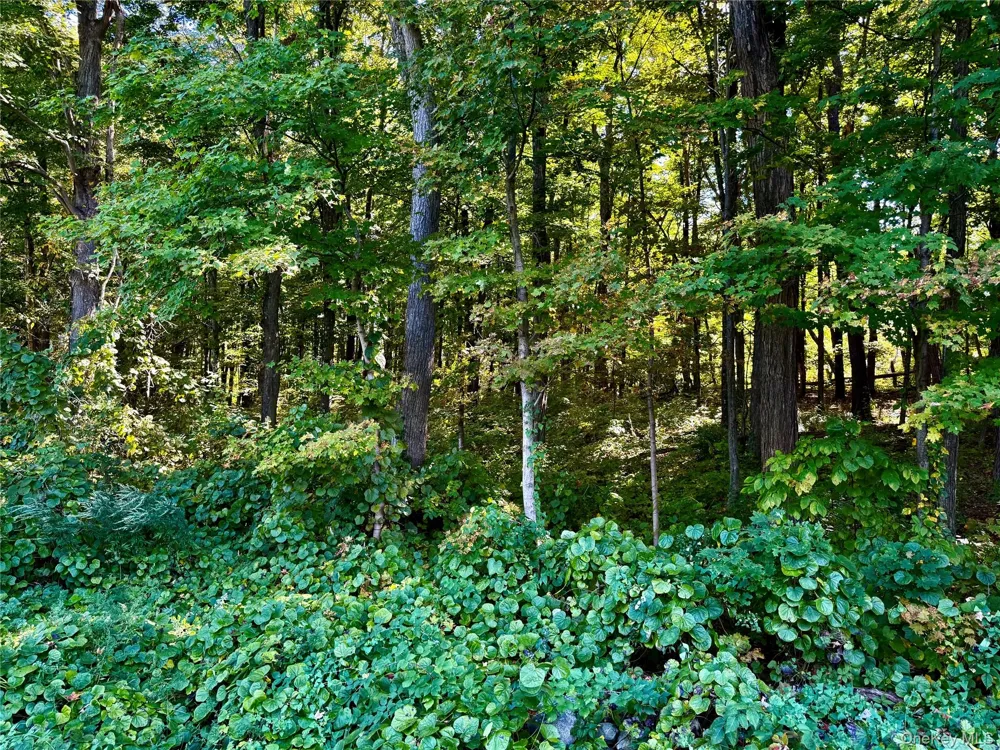 Freedom Road Lagrangeville, NY 12569