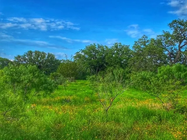 CR 296 Richland Springs, TX 78761