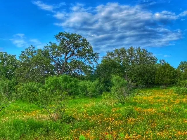 CR 296 Richland Springs, TX 78761