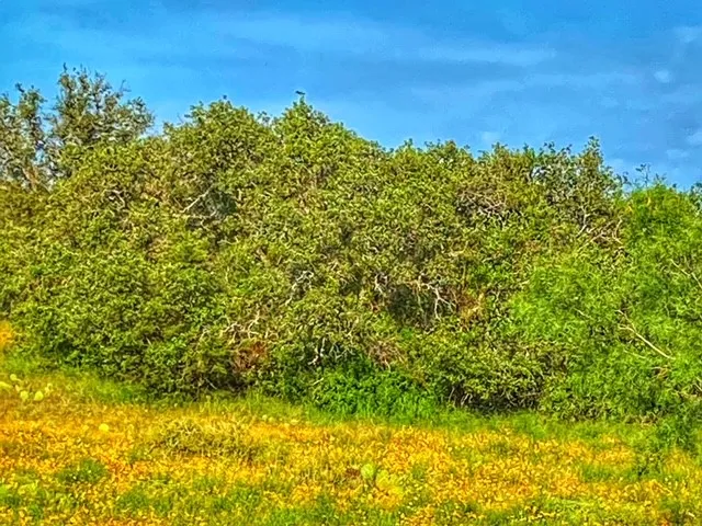 CR 296 Richland Springs, TX 78761