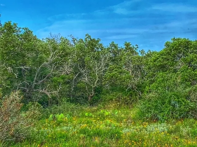 CR 296 Richland Springs, TX 78761