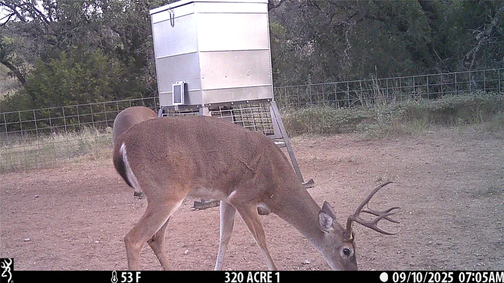 CR 296 Richland Springs, TX 78761