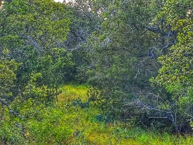 CR 296 Richland Springs, TX 78761