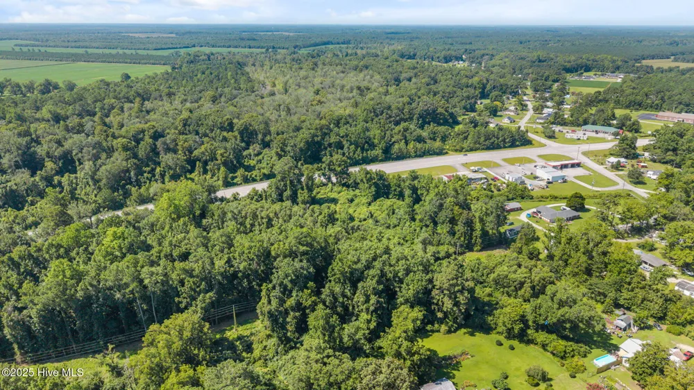 Parcel 2 Nc 55 Highway Bayboro, NC 28515