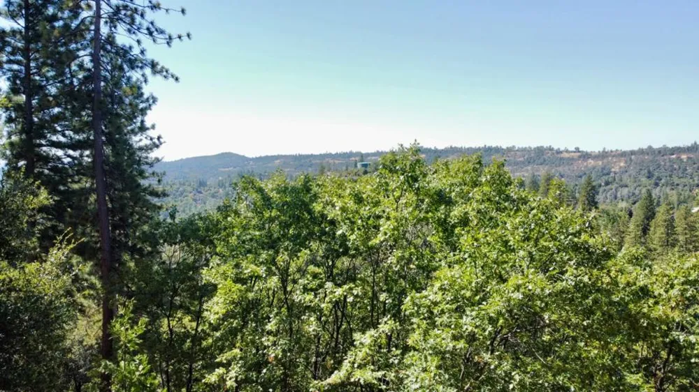 137 Deerhaven Drive Tuolumne, CA 95379