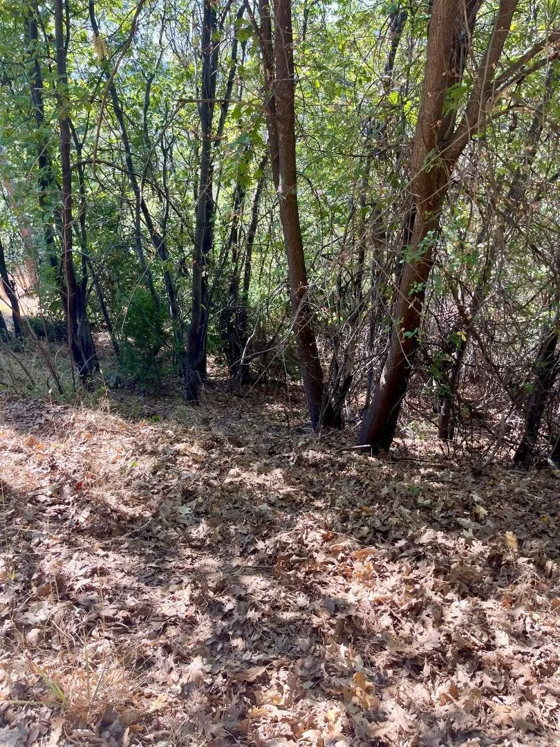 137 Deerhaven Drive Tuolumne, CA 95379