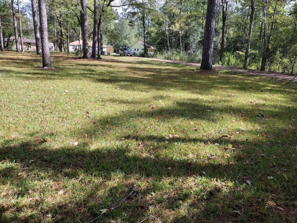Barbil Lane Huffman, TX 77336