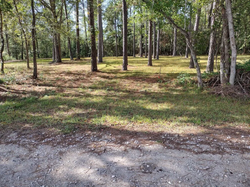 Barbil Lane Huffman, TX 77336