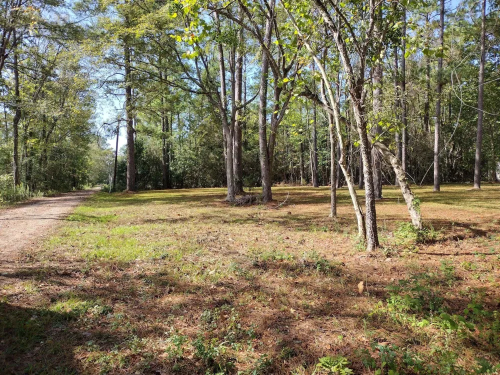 Barbil Lane Huffman, TX 77336