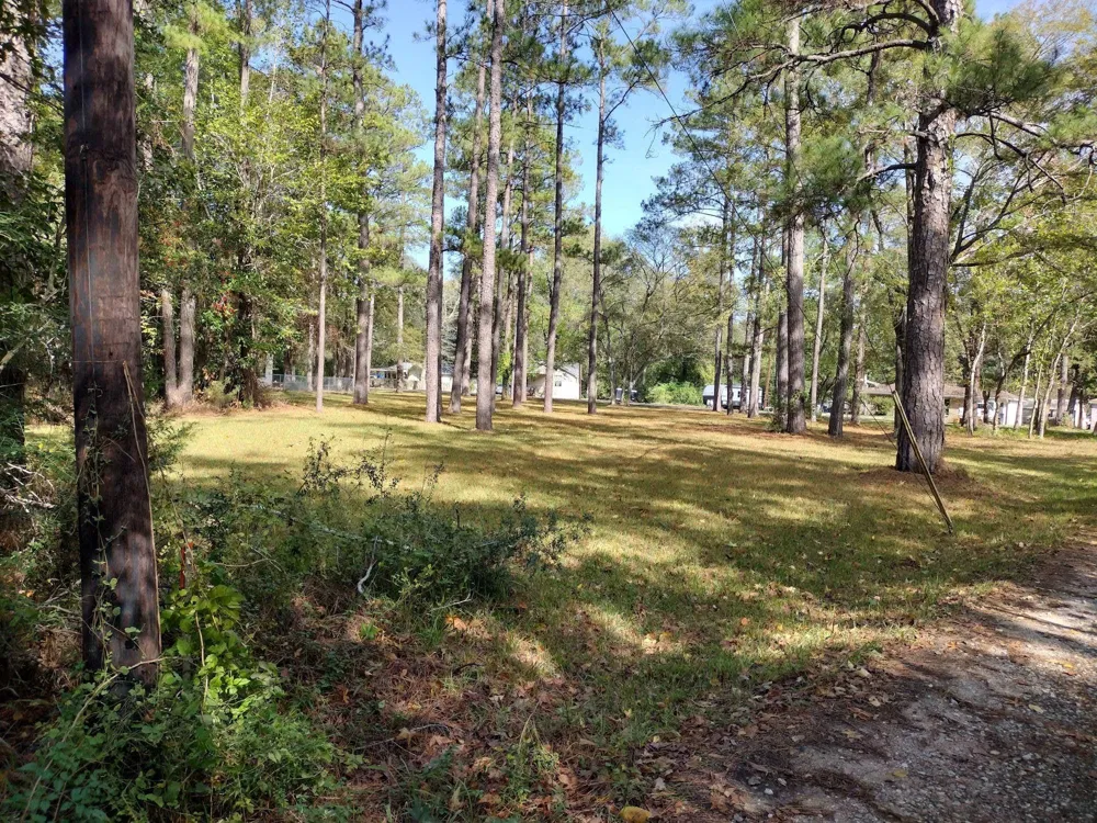 Barbil Lane Huffman, TX 77336