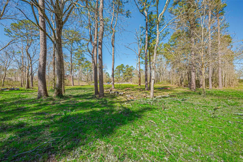 Stag Circle Huffman, TX 77336