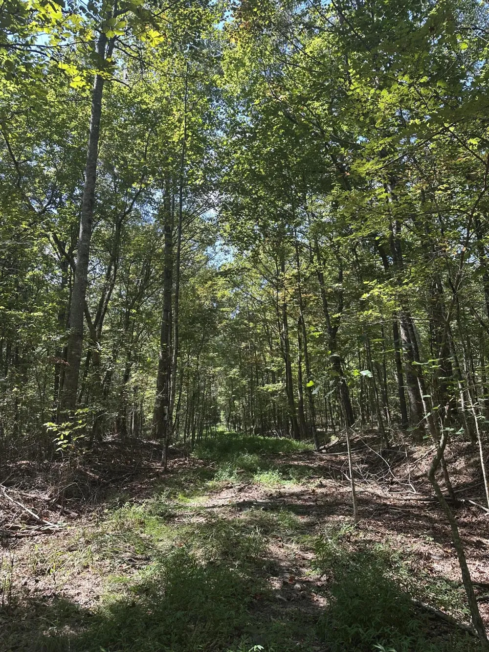 13 Hickory Hollow Sub Road Tracy City, TN 37387