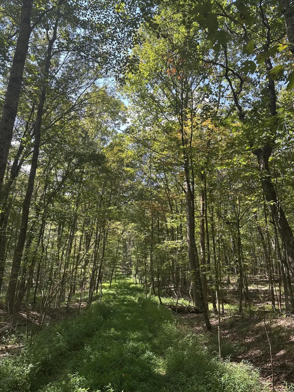 13 Hickory Hollow Sub Road Tracy City, TN 37387