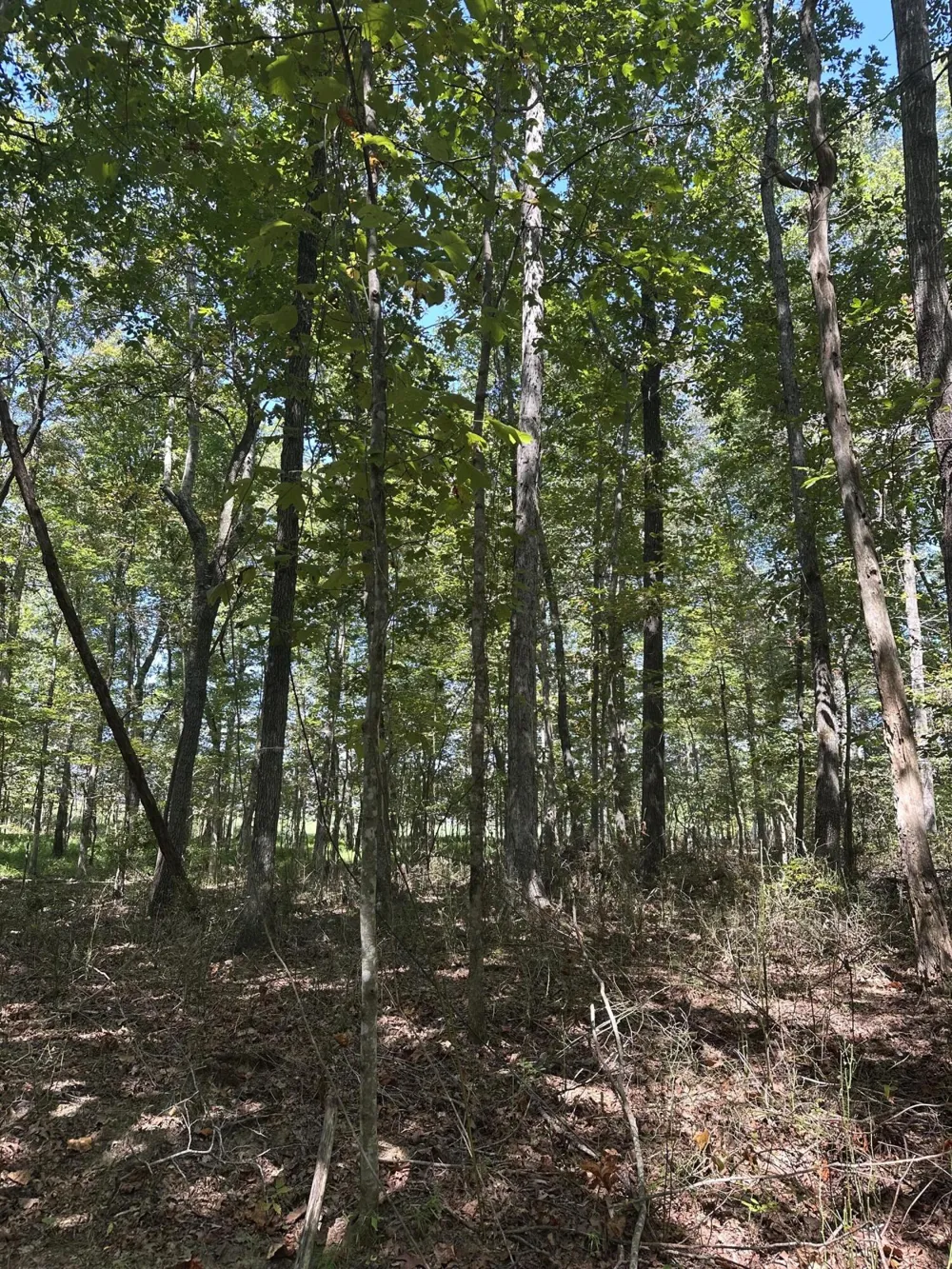 13 Hickory Hollow Sub Road Tracy City, TN 37387