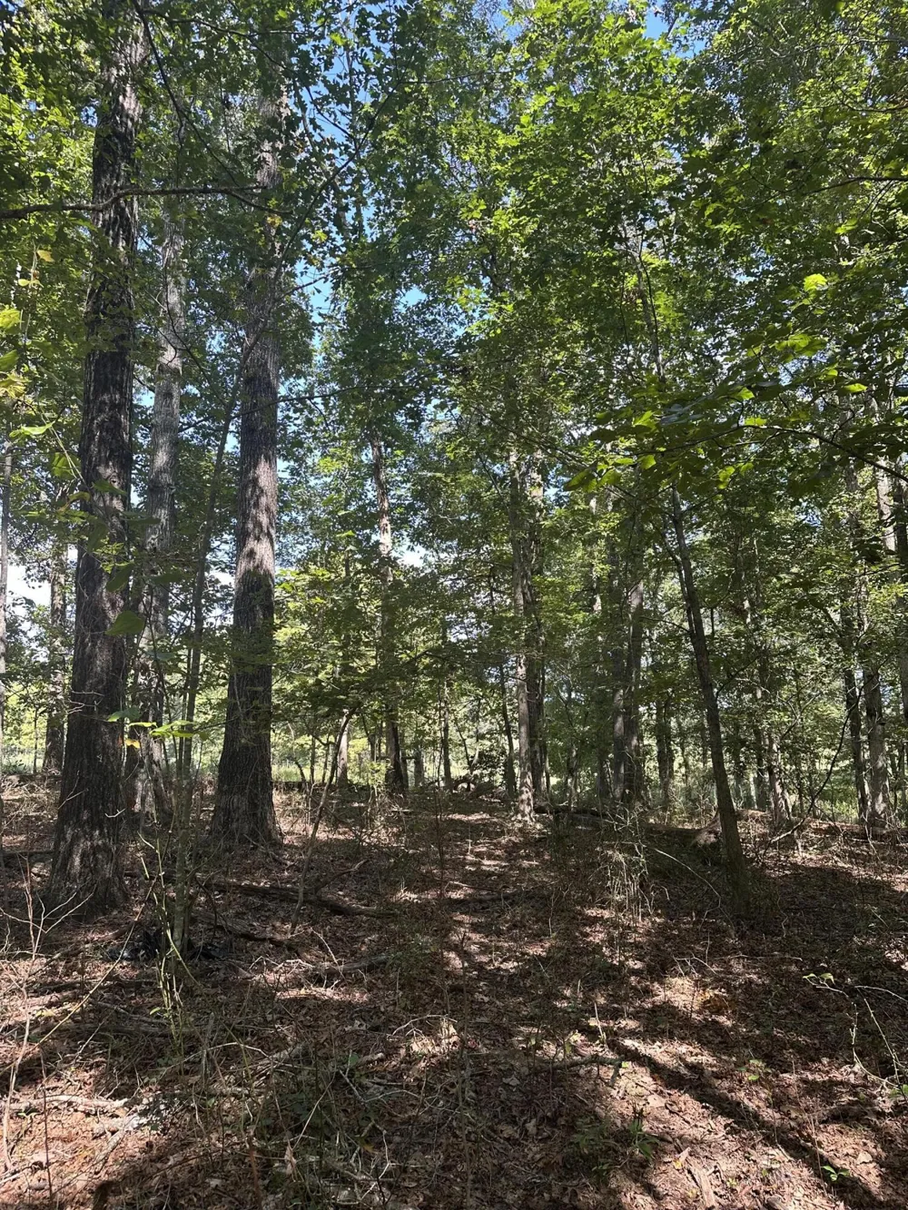 13 Hickory Hollow Sub Road Tracy City, TN 37387