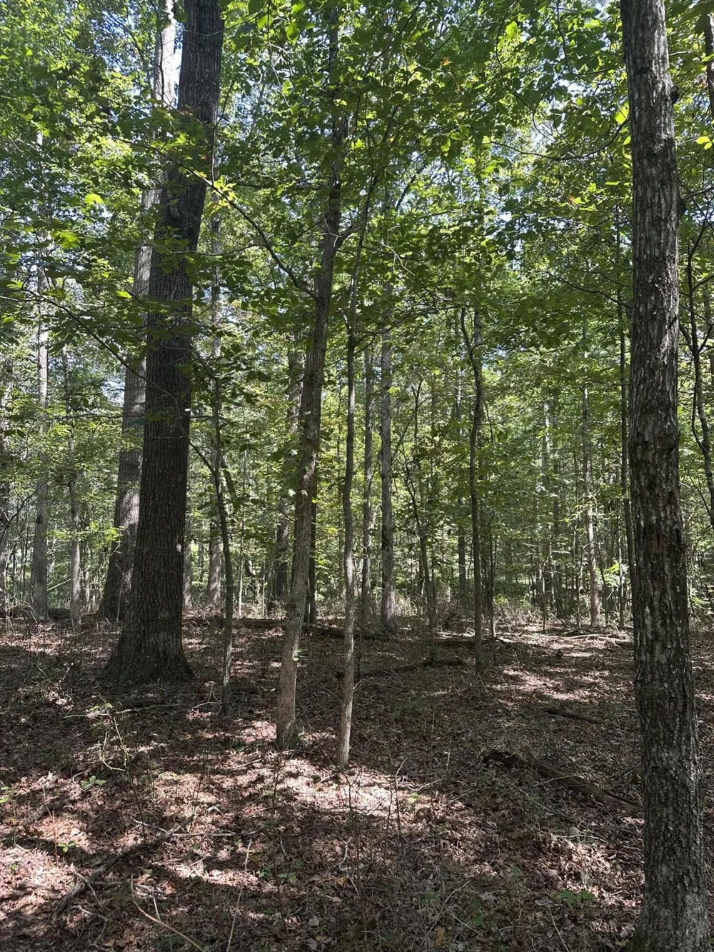 13 Hickory Hollow Sub Road Tracy City, TN 37387