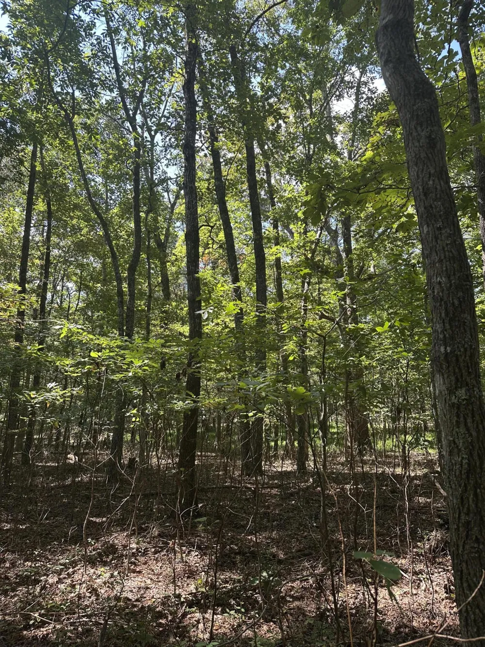 13 Hickory Hollow Sub Road Tracy City, TN 37387