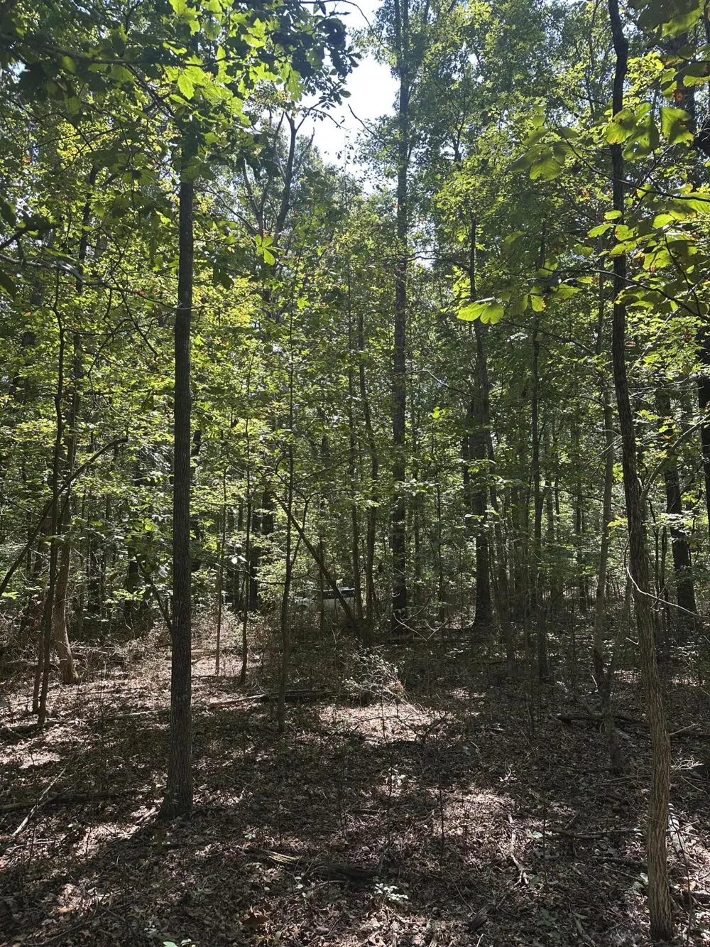 13 Hickory Hollow Sub Road Tracy City, TN 37387