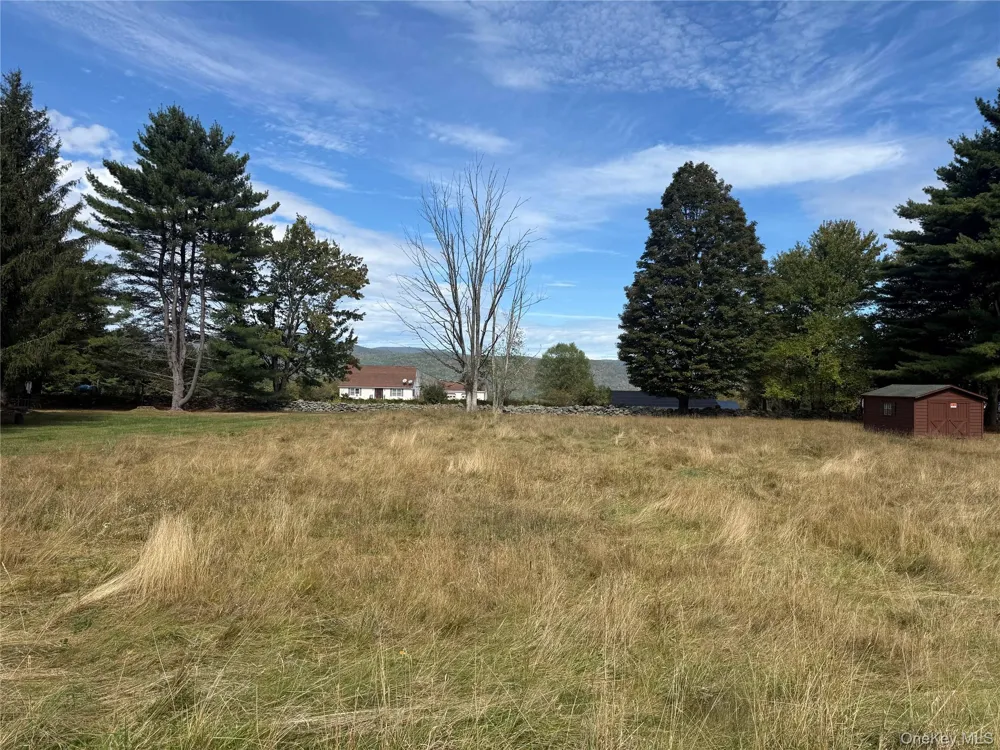 Hall Road Grahamsville, NY 12740