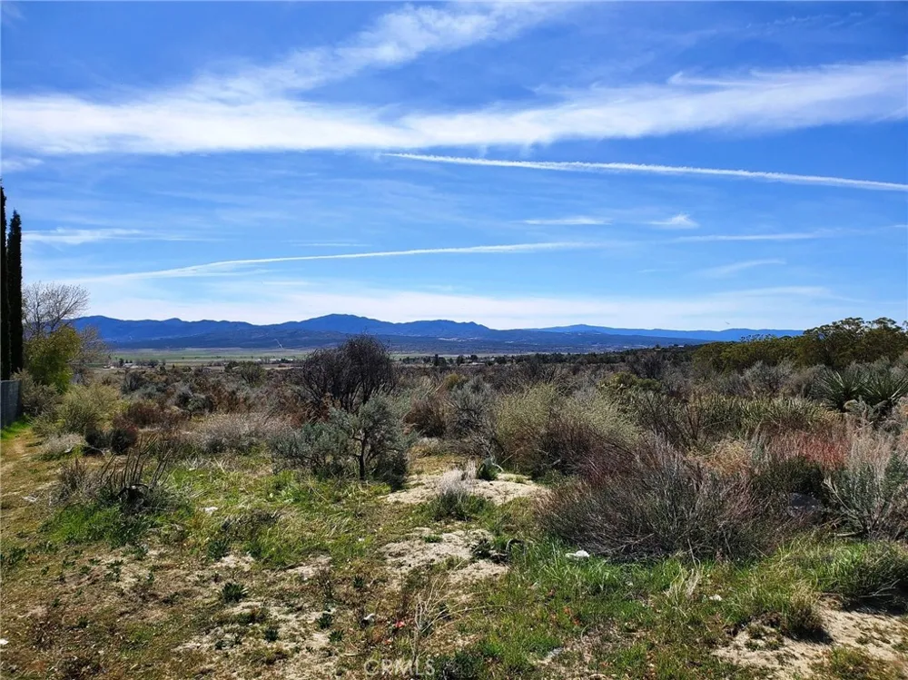 1 Mitchell Road Anza, CA 92539
