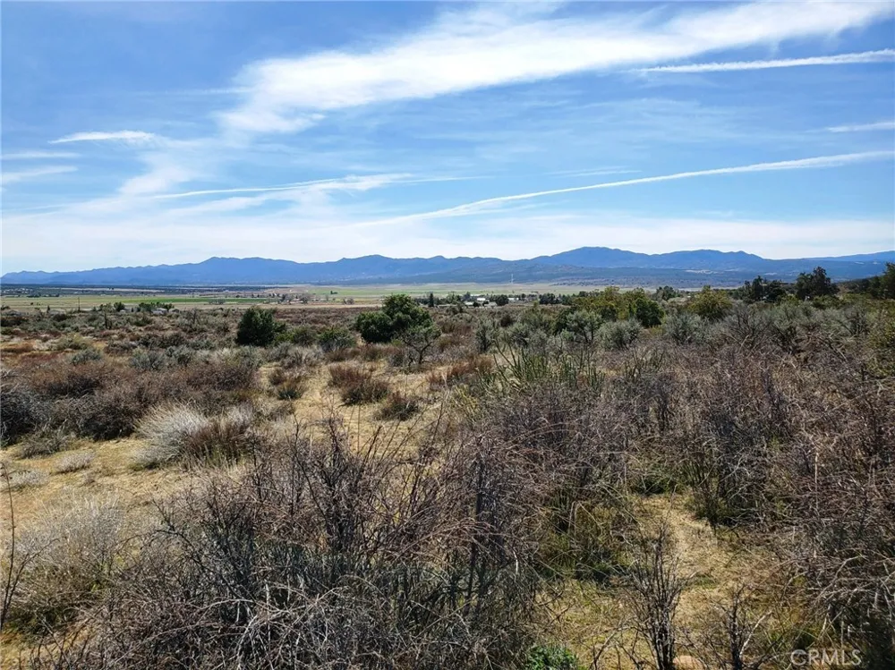 1 Mitchell Road Anza, CA 92539