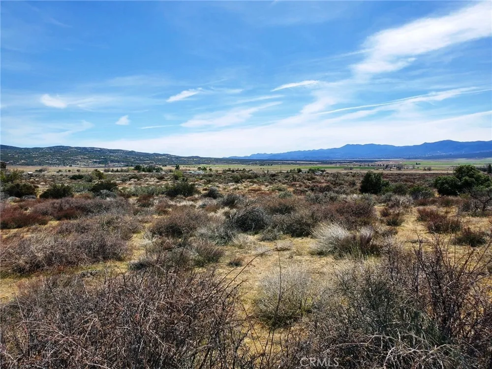 1 Mitchell Road Anza, CA 92539