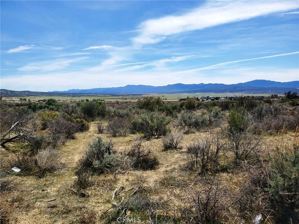 1 Mitchell Road Anza, CA 92539