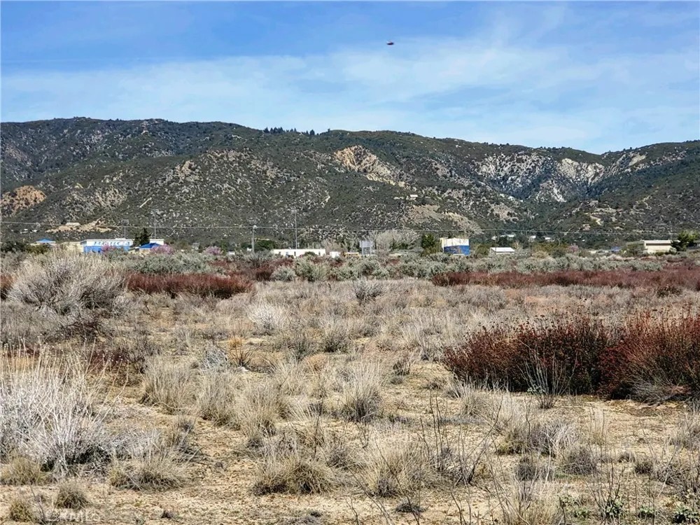 1 Mitchell Road Anza, CA 92539