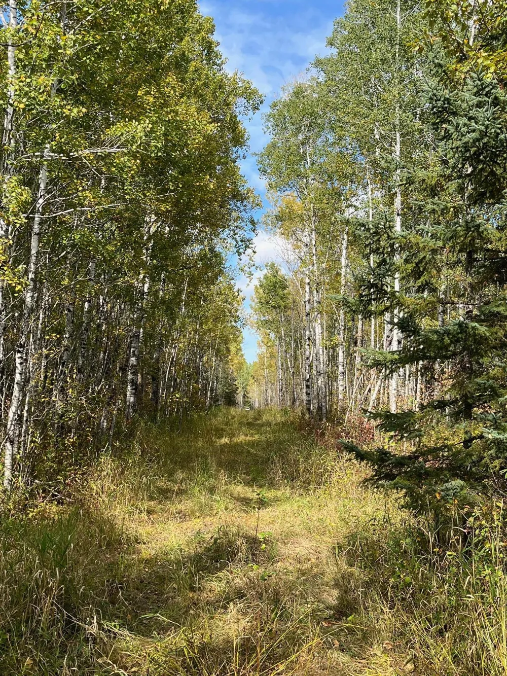 TBD W County Road 3 International Falls, MN 56669