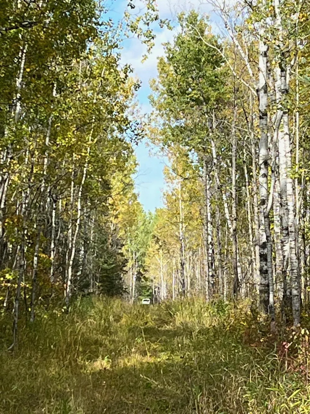 TBD W County Road 3 International Falls, MN 56669