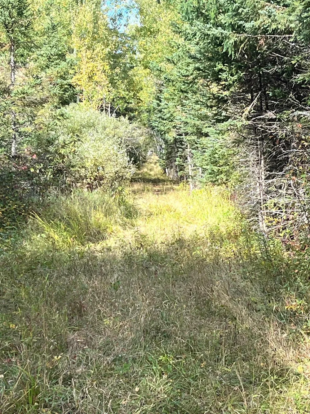 TBD W County Road 3 International Falls, MN 56669