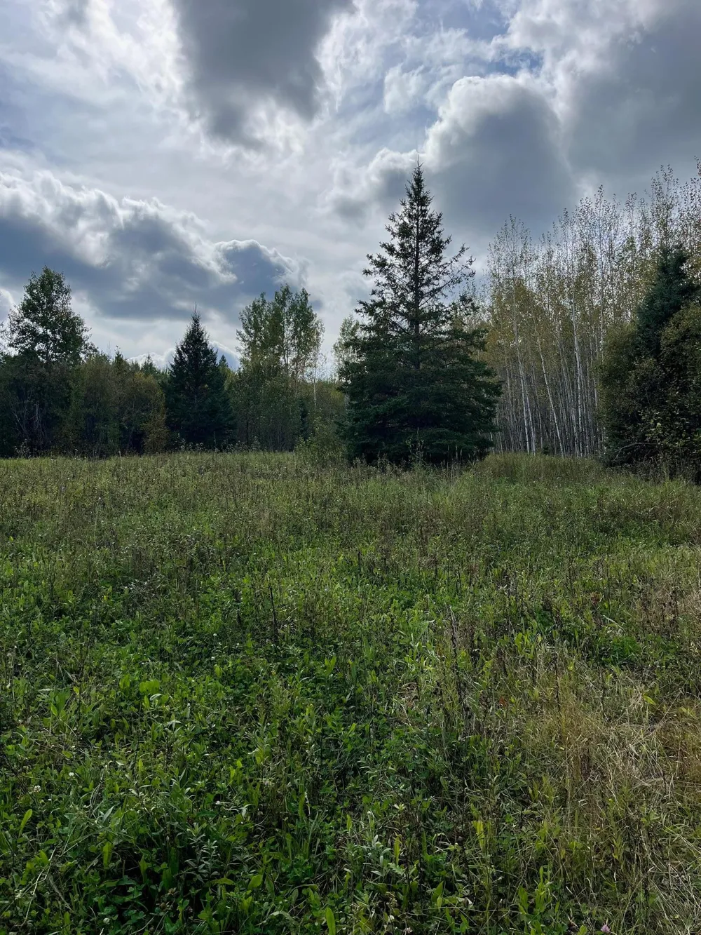TBD W County Road 3 International Falls, MN 56669
