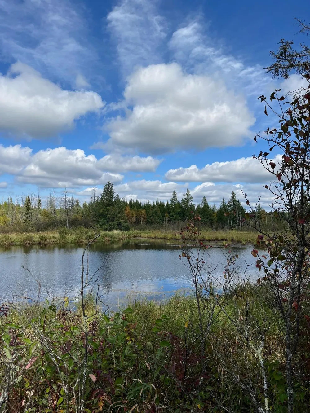 TBD W County Road 3 International Falls, MN 56669