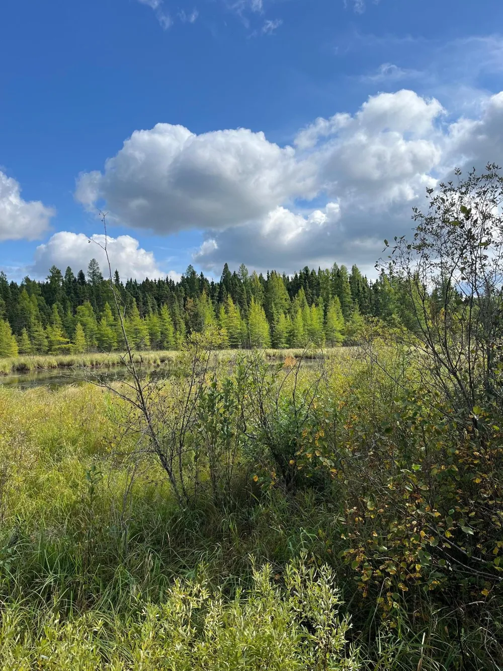 TBD W County Road 3 International Falls, MN 56669