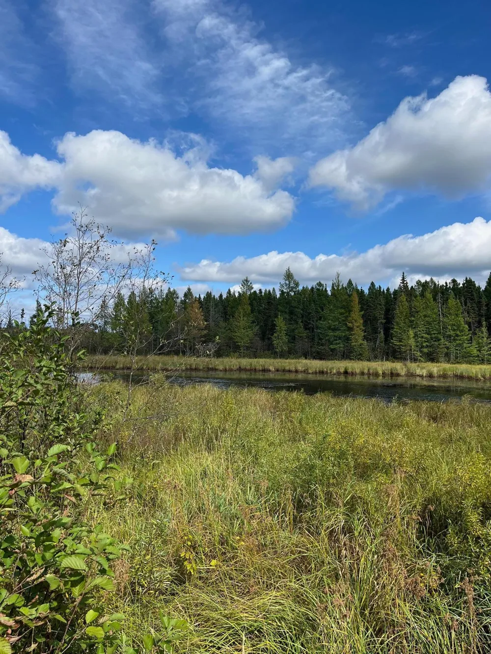 TBD W County Road 3 International Falls, MN 56669