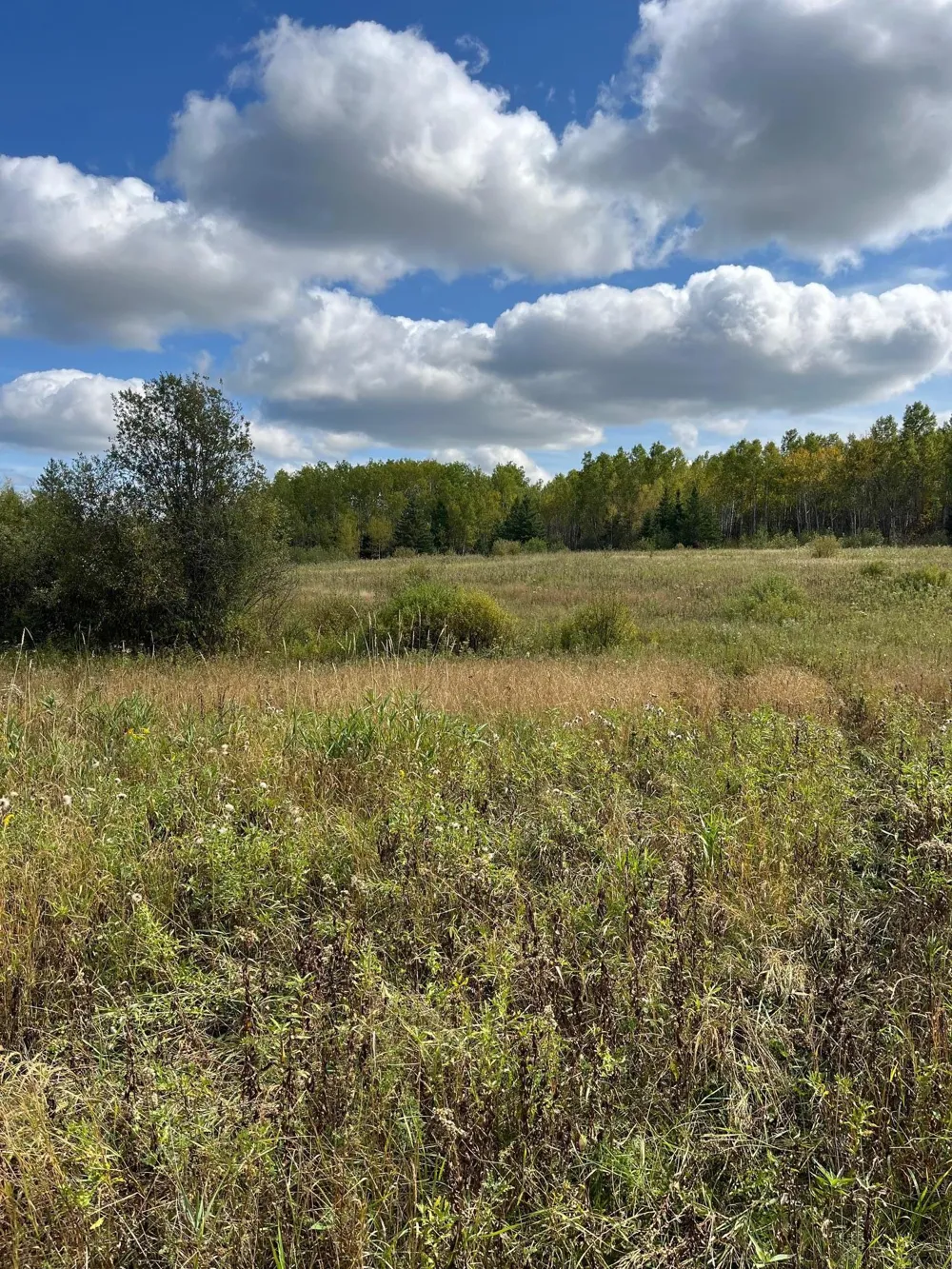 TBD W County Road 3 International Falls, MN 56669