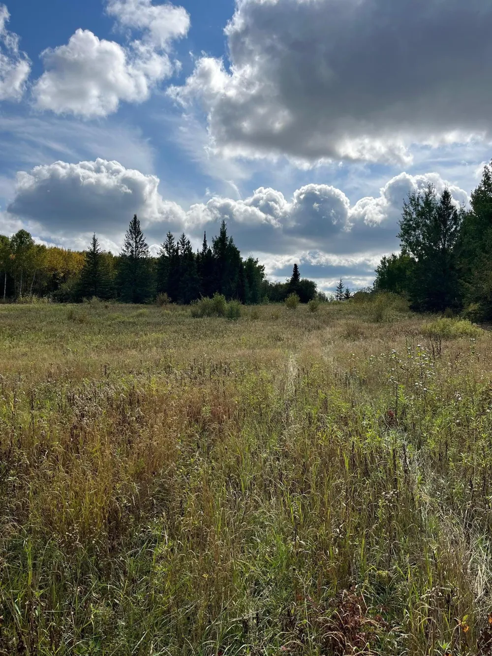 TBD W County Road 3 International Falls, MN 56669