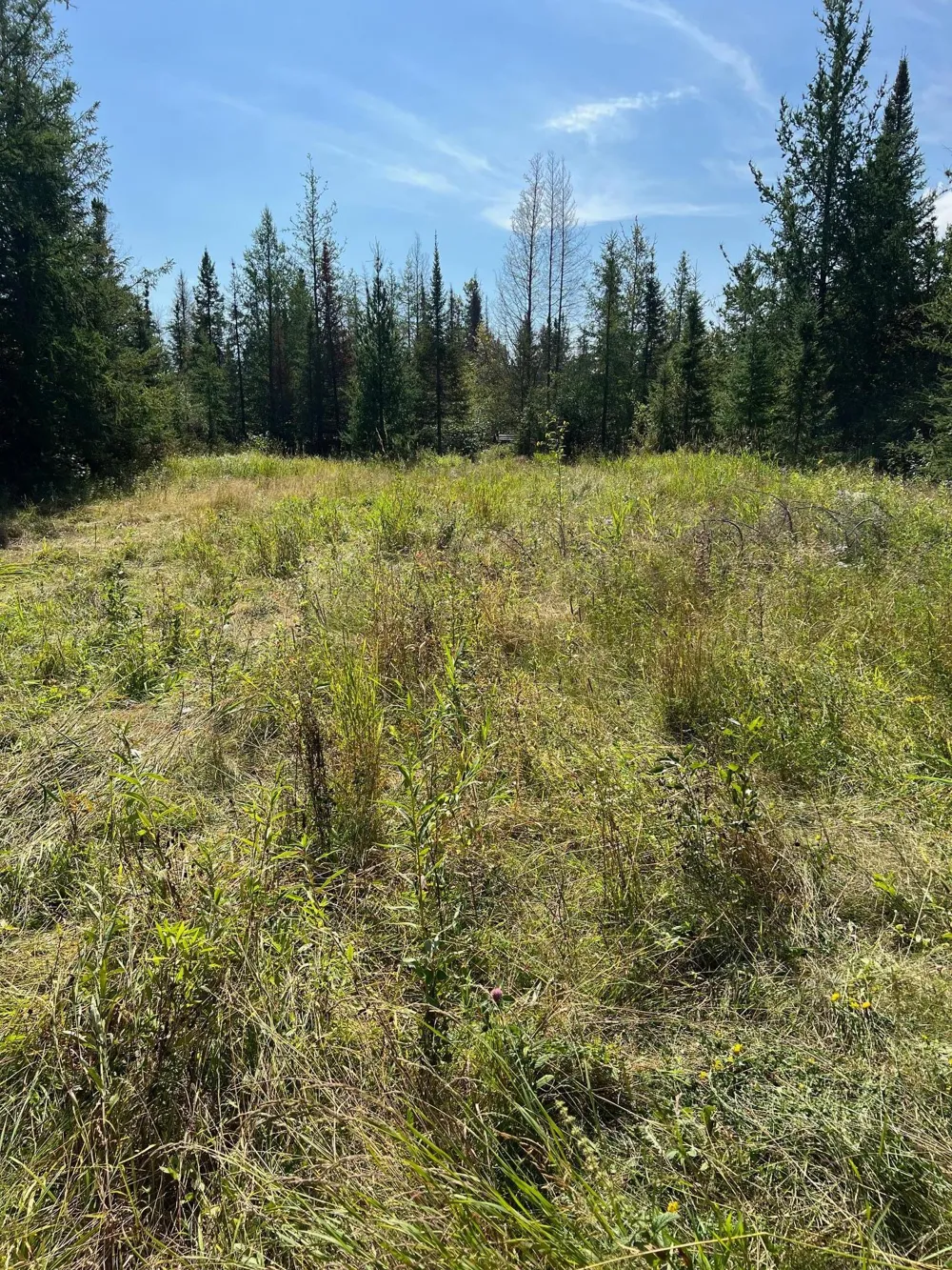 TBD W County Road 3 International Falls, MN 56669