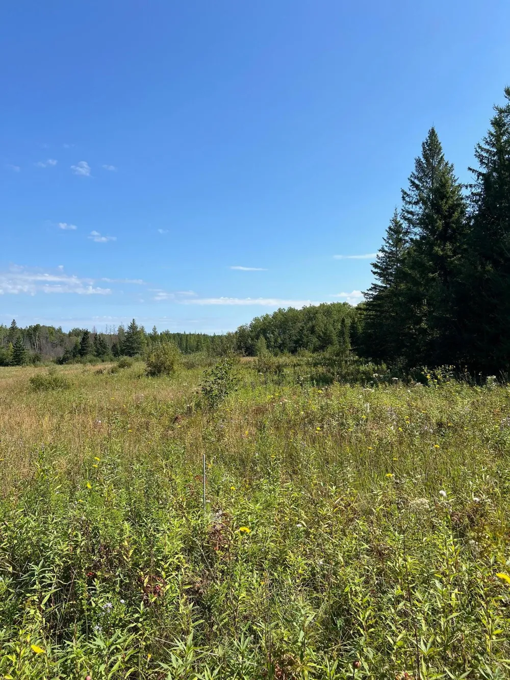 TBD W County Road 3 International Falls, MN 56669