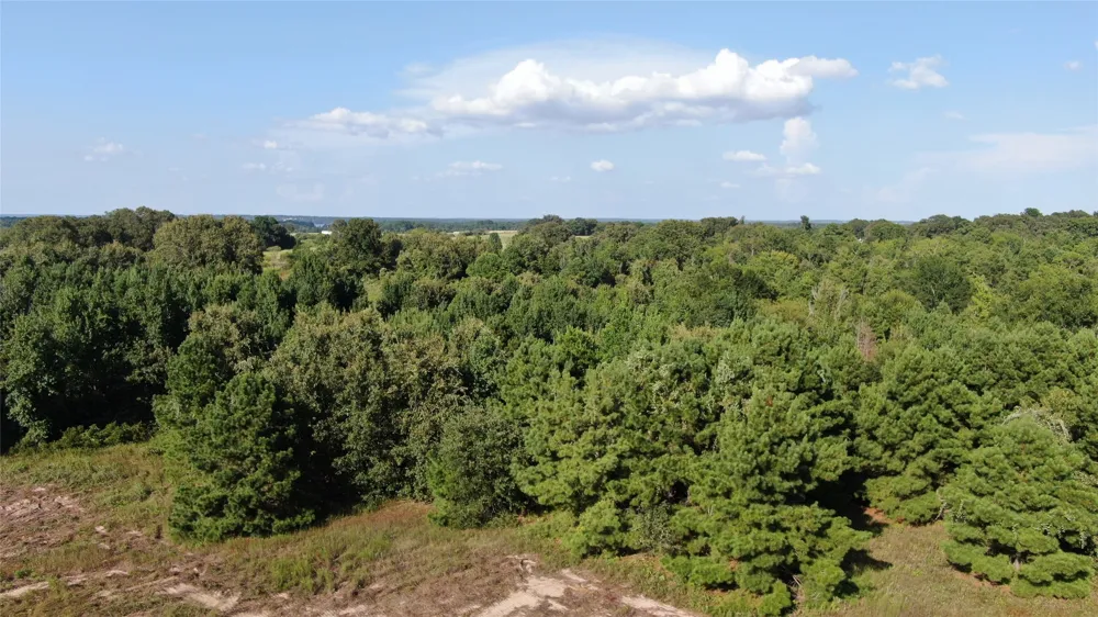 County Road 305 Frankston, TX 75763