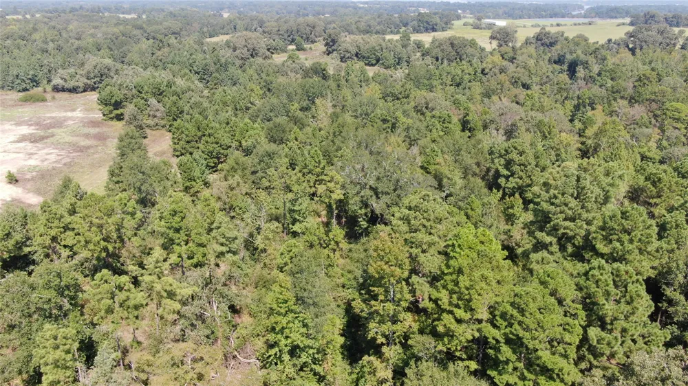 County Road 305 Frankston, TX 75763
