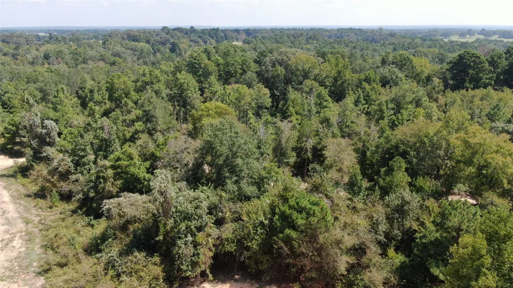 County Road 305 Frankston, TX 75763