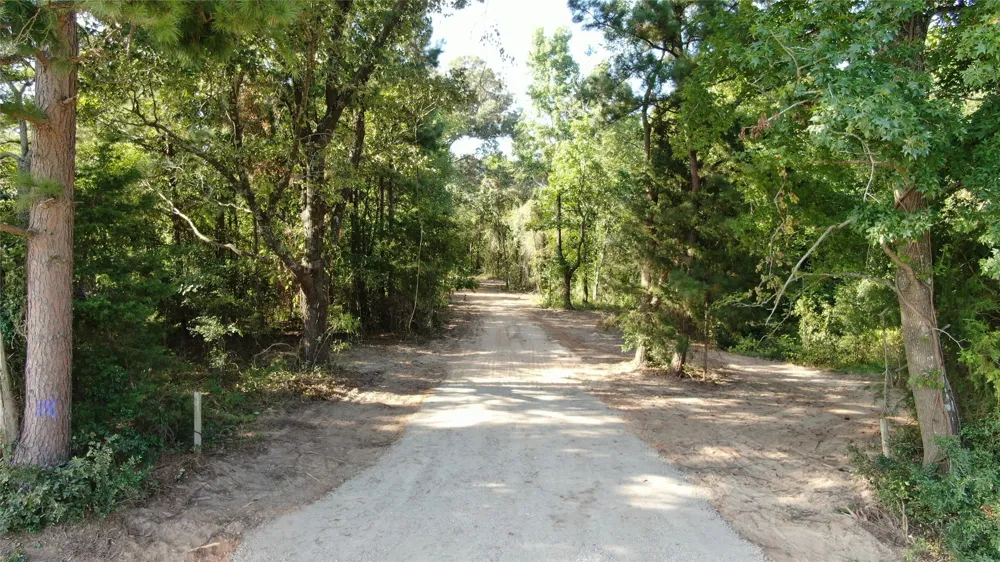 County Road 305 Frankston, TX 75763