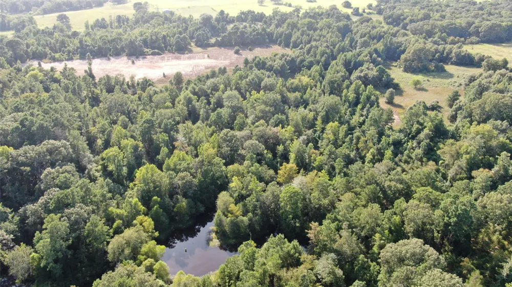 County Road 305 Frankston, TX 75763