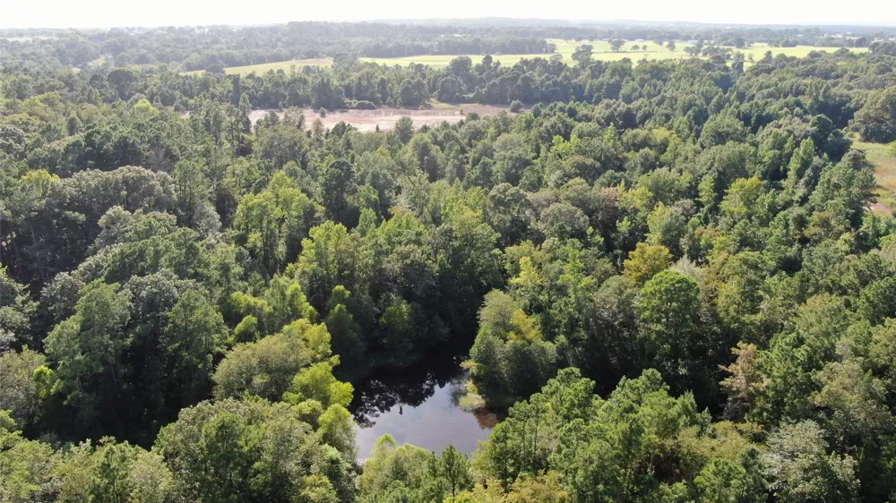 County Road 305 Frankston, TX 75763
