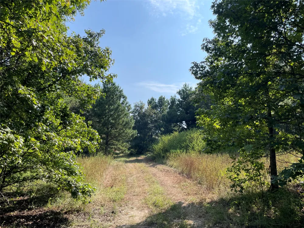 County Road 305 Frankston, TX 75763